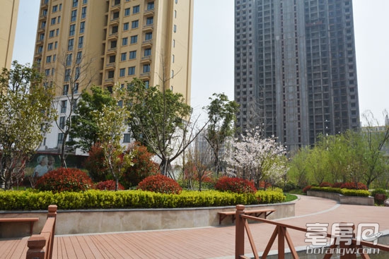 阳春三月亳州美景多最美不过杉杉国际城